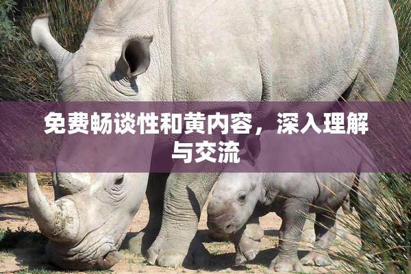免费畅谈性和黄内容，深入理解与交流