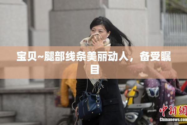 宝贝~腿部线条美丽动人，备受瞩目