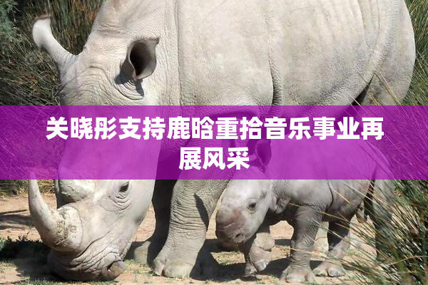 关晓彤支持鹿晗重拾音乐事业再展风采