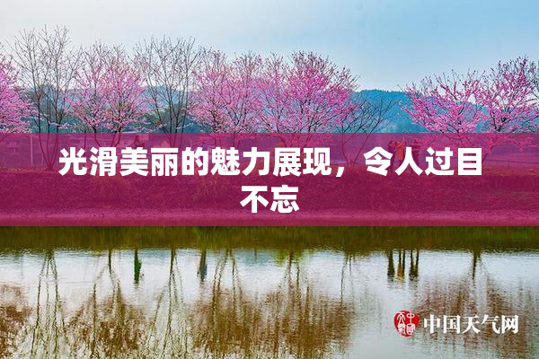 光滑美丽的魅力展现，令人过目不忘