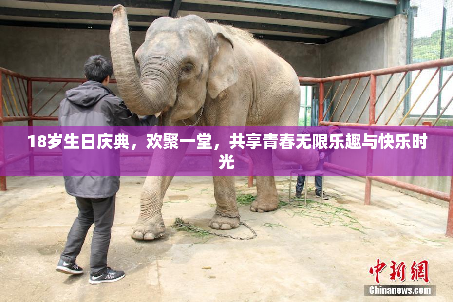 18岁生日庆典，欢聚一堂，共享青春无限乐趣与快乐时光