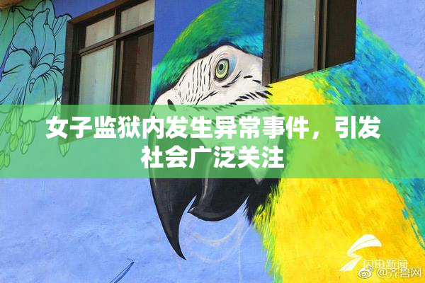 女子监狱内发生异常事件，引发社会广泛关注
