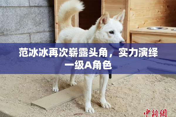 范冰冰再次崭露头角，实力演绎一级A角色