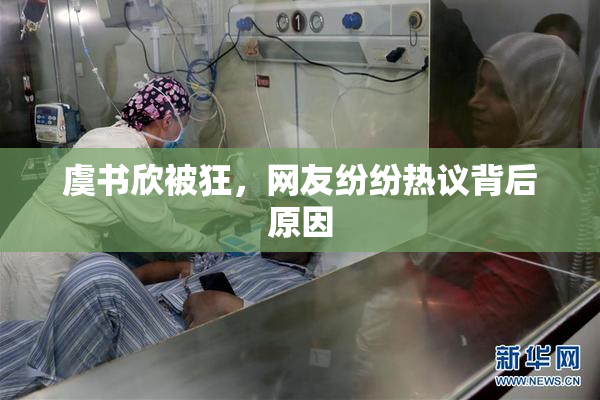 虞书欣被狂，网友纷纷热议背后原因