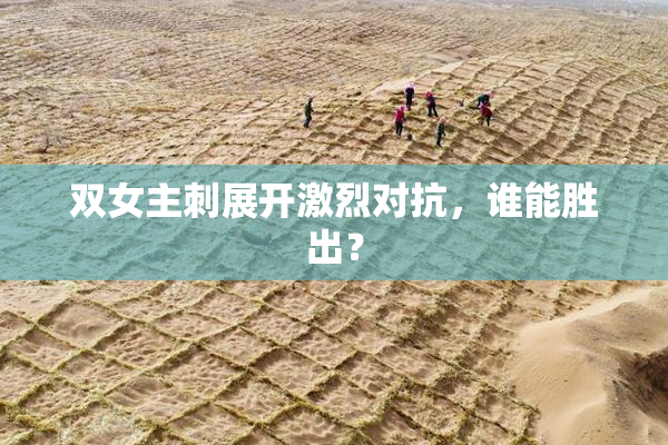 双女主刺展开激烈对抗，谁能胜出？