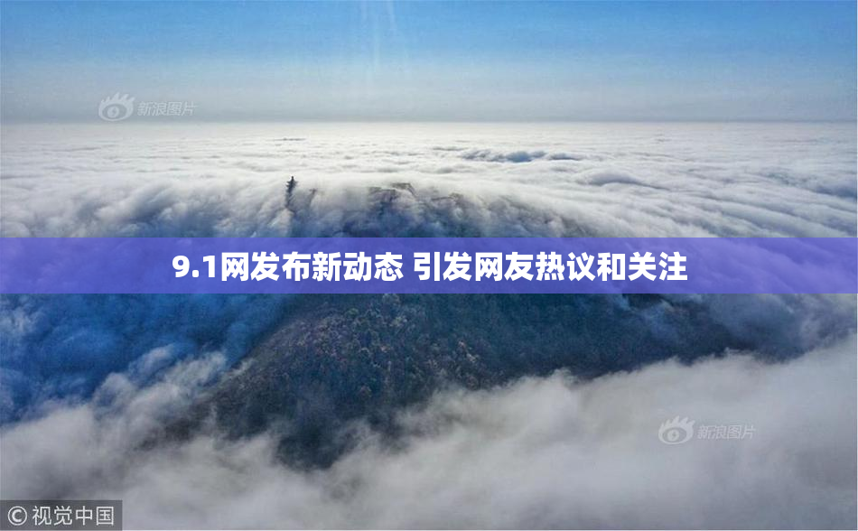 9.1网发布新动态 引发网友热议和关注