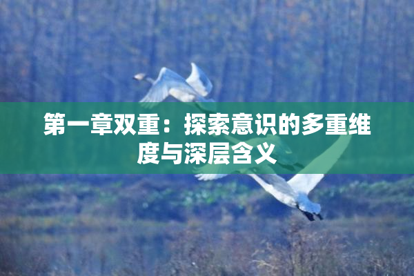 第一章双重：探索意识的多重维度与深层含义
