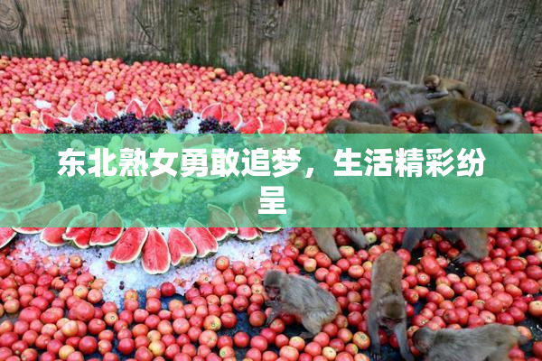 东北熟女勇敢追梦，生活精彩纷呈
