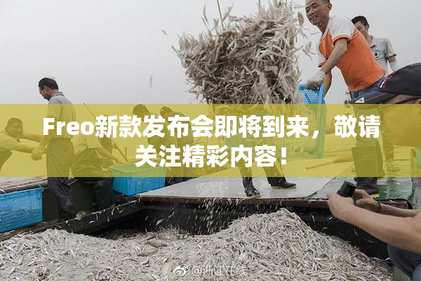Freo新款发布会即将到来，敬请关注精彩内容！