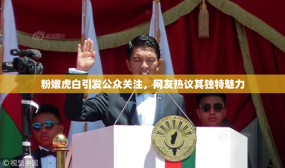 粉嫩虎白引发公众关注，网友热议其独特魅力