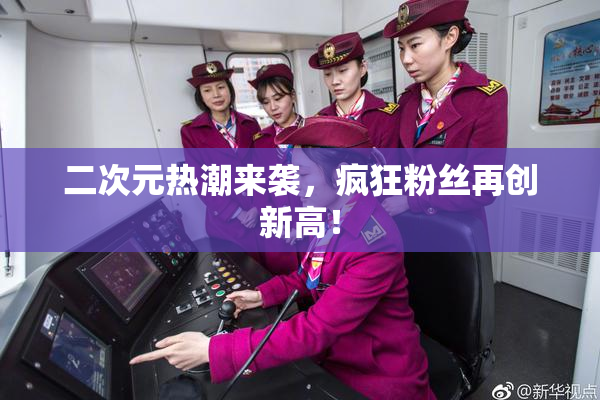 二次元热潮来袭，疯狂粉丝再创新高！