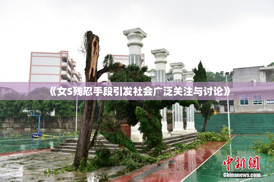 《女S残忍手段引发社会广泛关注与讨论》