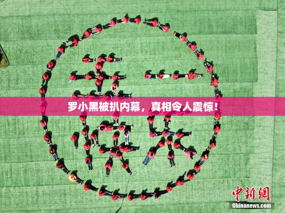 罗小黑被扒内幕，真相令人震惊！