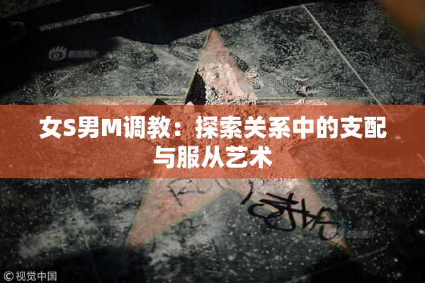女S男M调教：探索关系中的支配与服从艺术
