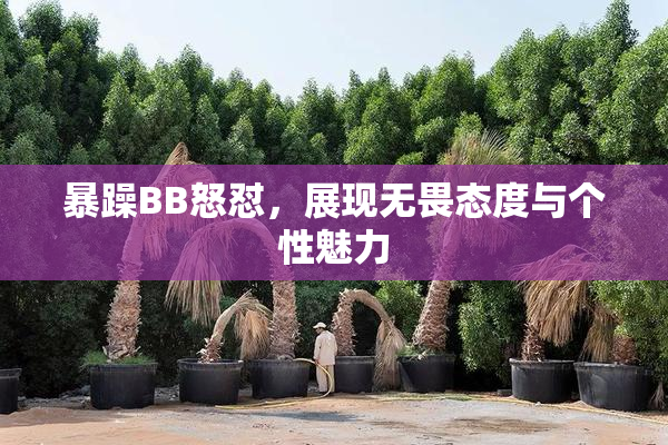 暴躁BB怒怼，展现无畏态度与个性魅力