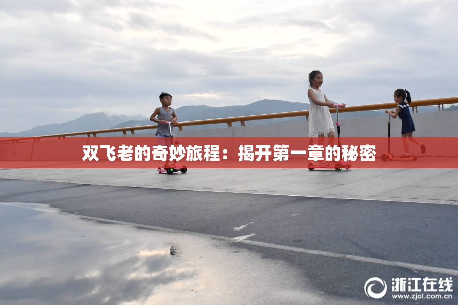 双飞老的奇妙旅程：揭开第一章的秘密