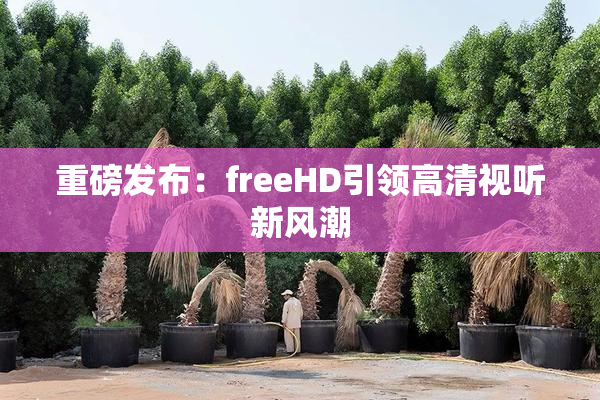 重磅发布：freeHD引领高清视听新风潮