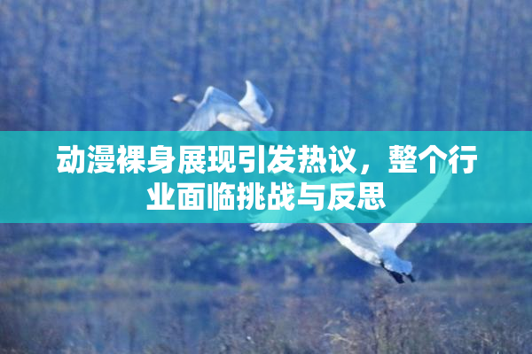 动漫裸身展现引发热议，整个行业面临挑战与反思
