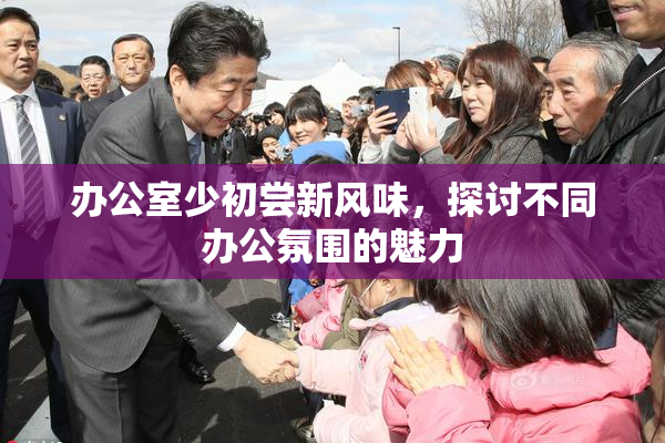 办公室少初尝新风味，探讨不同办公氛围的魅力