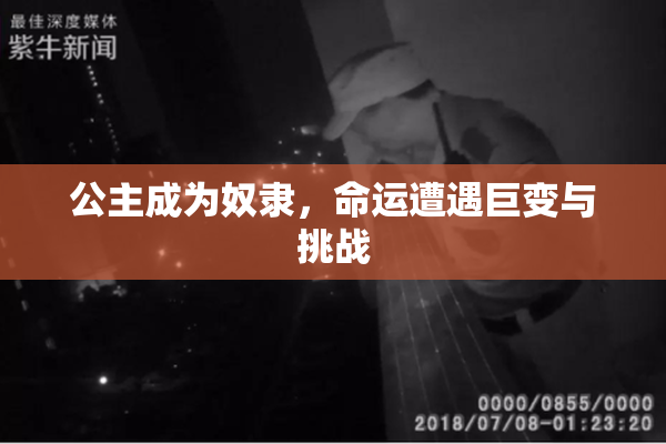 公主成为奴隶，命运遭遇巨变与挑战