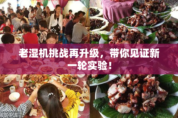 老湿机挑战再升级，带你见证新一轮实验！