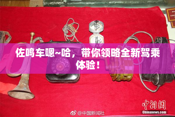 佐鸣车嗯~哈，带你领略全新驾乘体验！