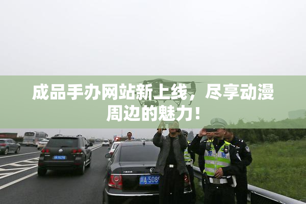 成品手办网站新上线，尽享动漫周边的魅力！