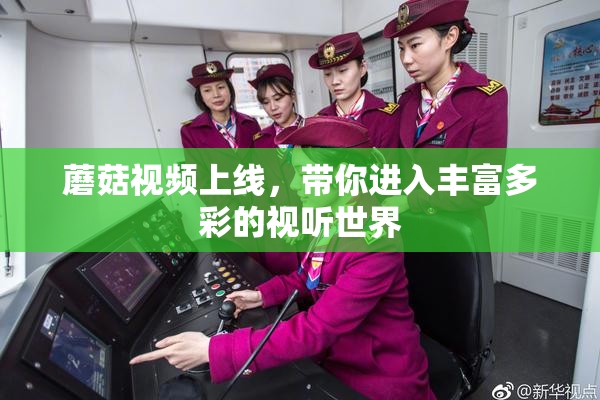 蘑菇视频上线，带你进入丰富多彩的视听世界