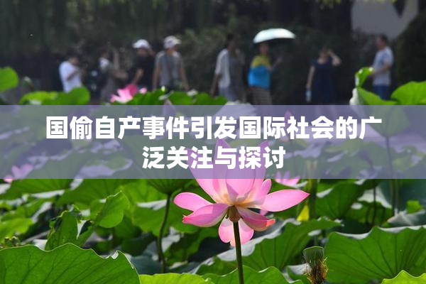 国偷自产事件引发国际社会的广泛关注与探讨