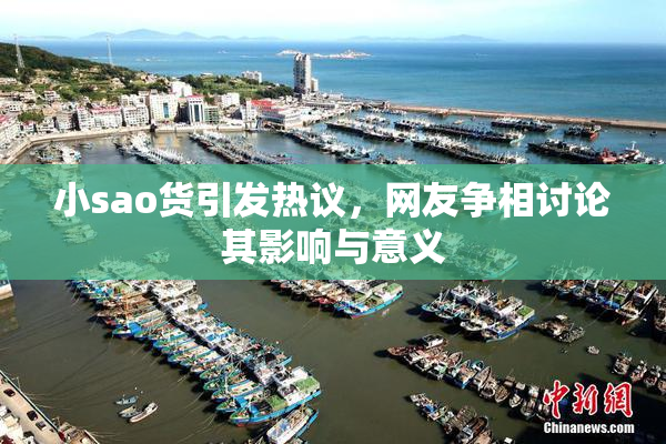 小sao货引发热议，网友争相讨论其影响与意义