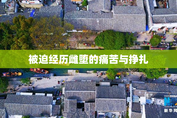 被迫经历雌堕的痛苦与挣扎