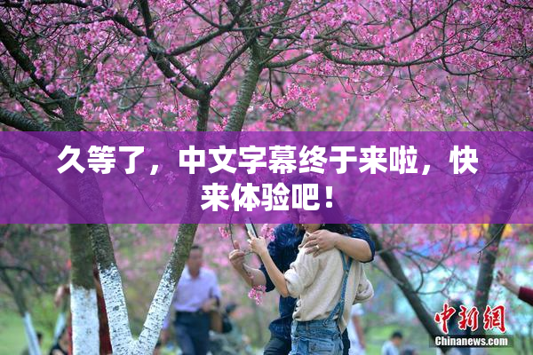 久等了，中文字幕终于来啦，快来体验吧！
