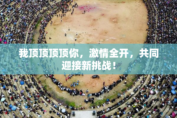 我顶顶顶顶你，激情全开，共同迎接新挑战！