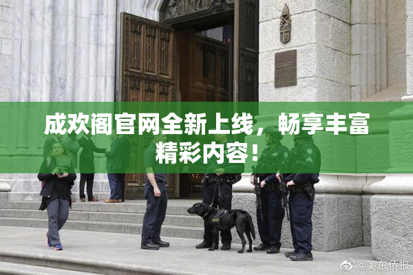 成欢阁官网全新上线，畅享丰富精彩内容！