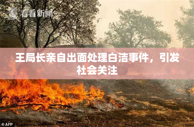 王局长亲自出面处理白洁事件，引发社会关注