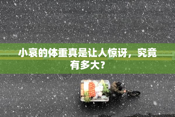 小哀的体重真是让人惊讶，究竟有多大？