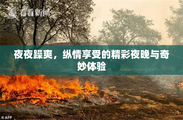 夜夜躁爽，纵情享受的精彩夜晚与奇妙体验