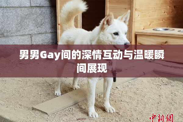 男男Gay间的深情互动与温暖瞬间展现