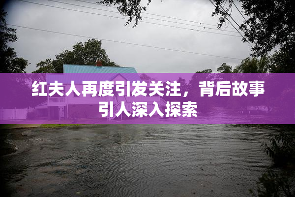 红夫人再度引发关注，背后故事引人深入探索