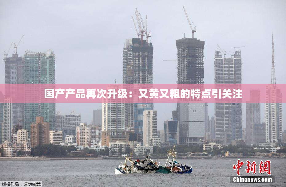 国产产品再次升级：又黄又粗的特点引关注