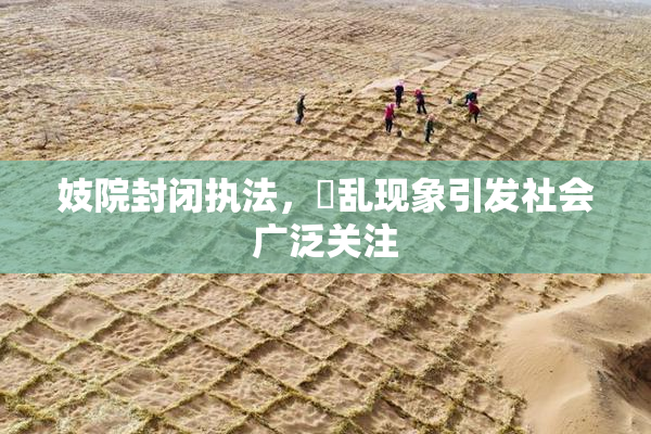妓院封闭执法，婬乱现象引发社会广泛关注