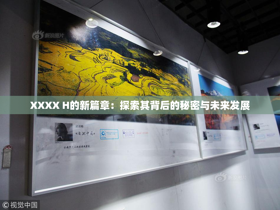 XXXX H的新篇章：探索其背后的秘密与未来发展
