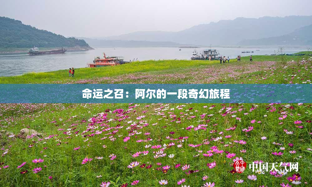 命运之召：阿尔的一段奇幻旅程