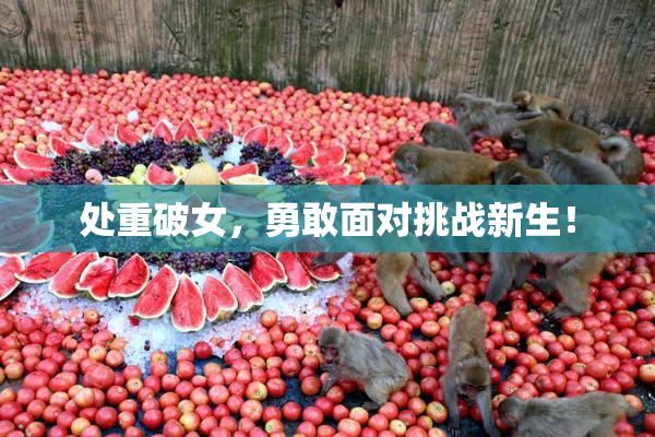 处重破女，勇敢面对挑战新生！