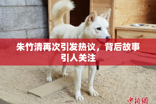 朱竹清再次引发热议，背后故事引人关注