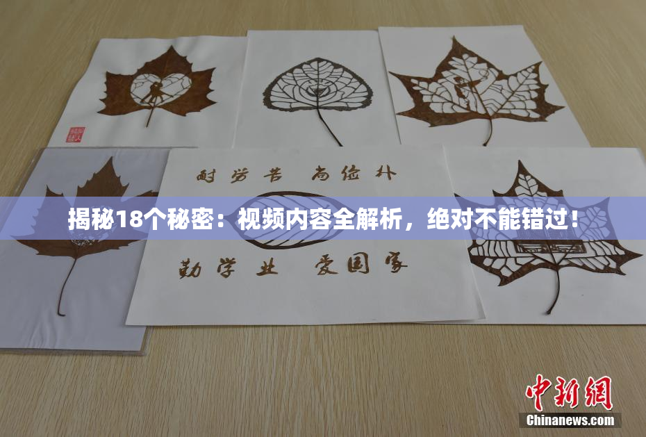 揭秘18个秘密：视频内容全解析，绝对不能错过！
