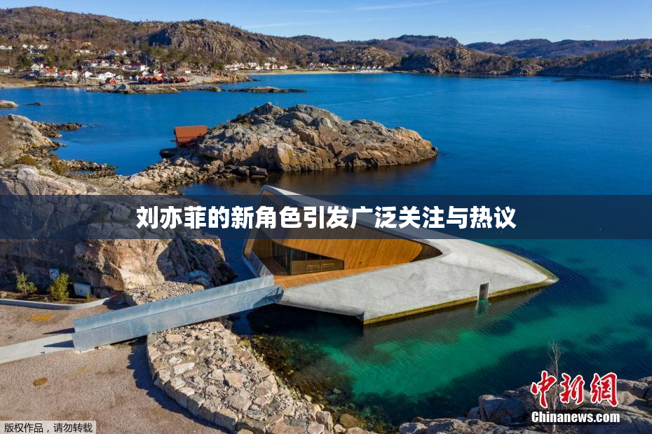 刘亦菲的新角色引发广泛关注与热议