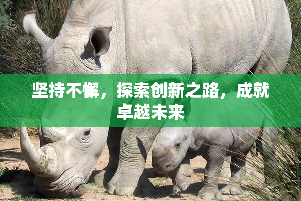 坚持不懈，探索创新之路，成就卓越未来