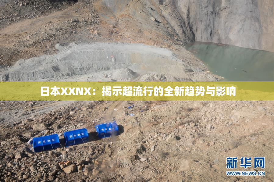 日本XXNX：揭示超流行的全新趋势与影响