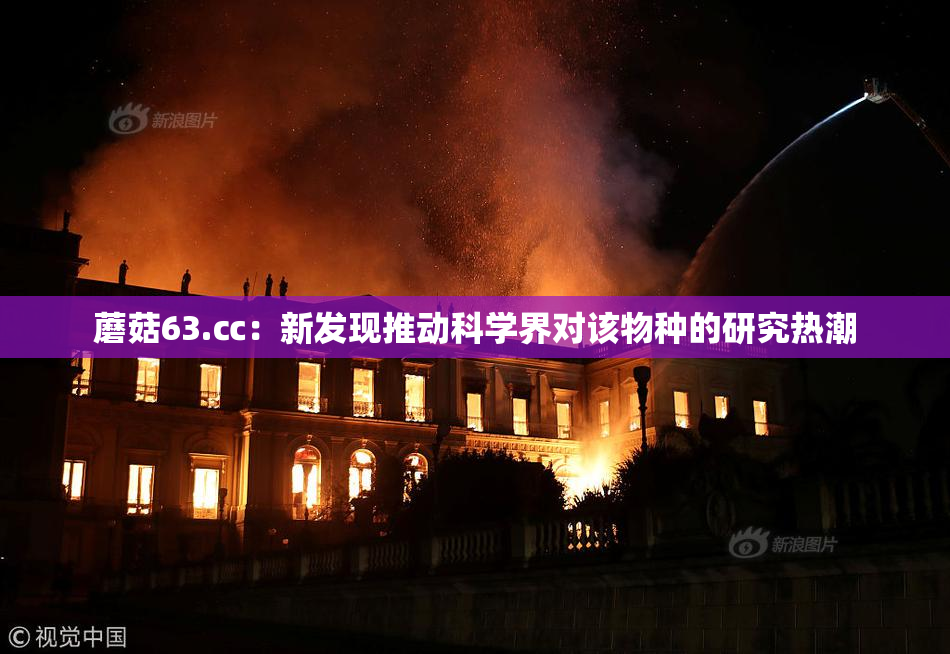 蘑菇63.㏄：新发现推动科学界对该物种的研究热潮